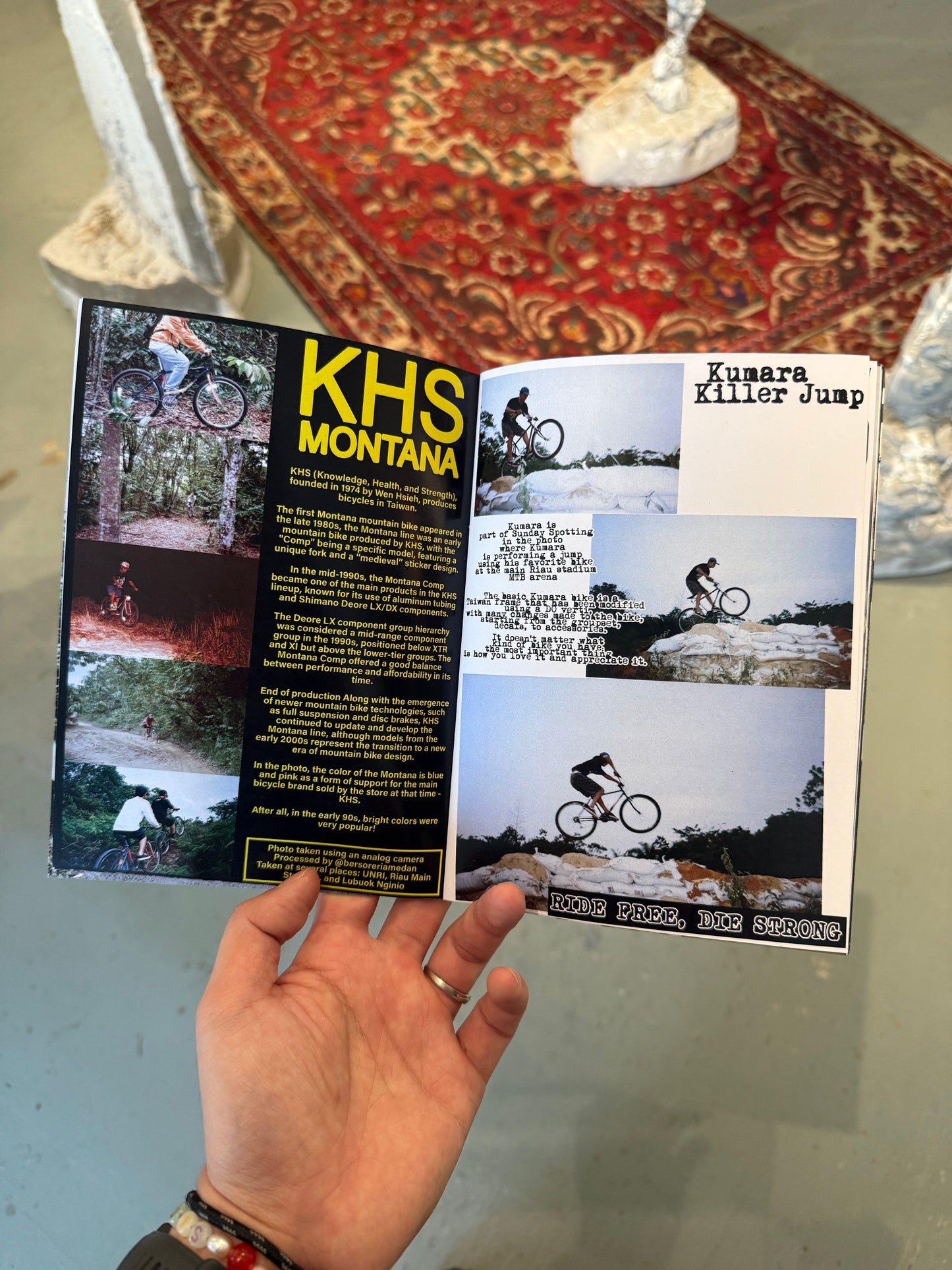 Sunday Spotting Zine - Issue 2