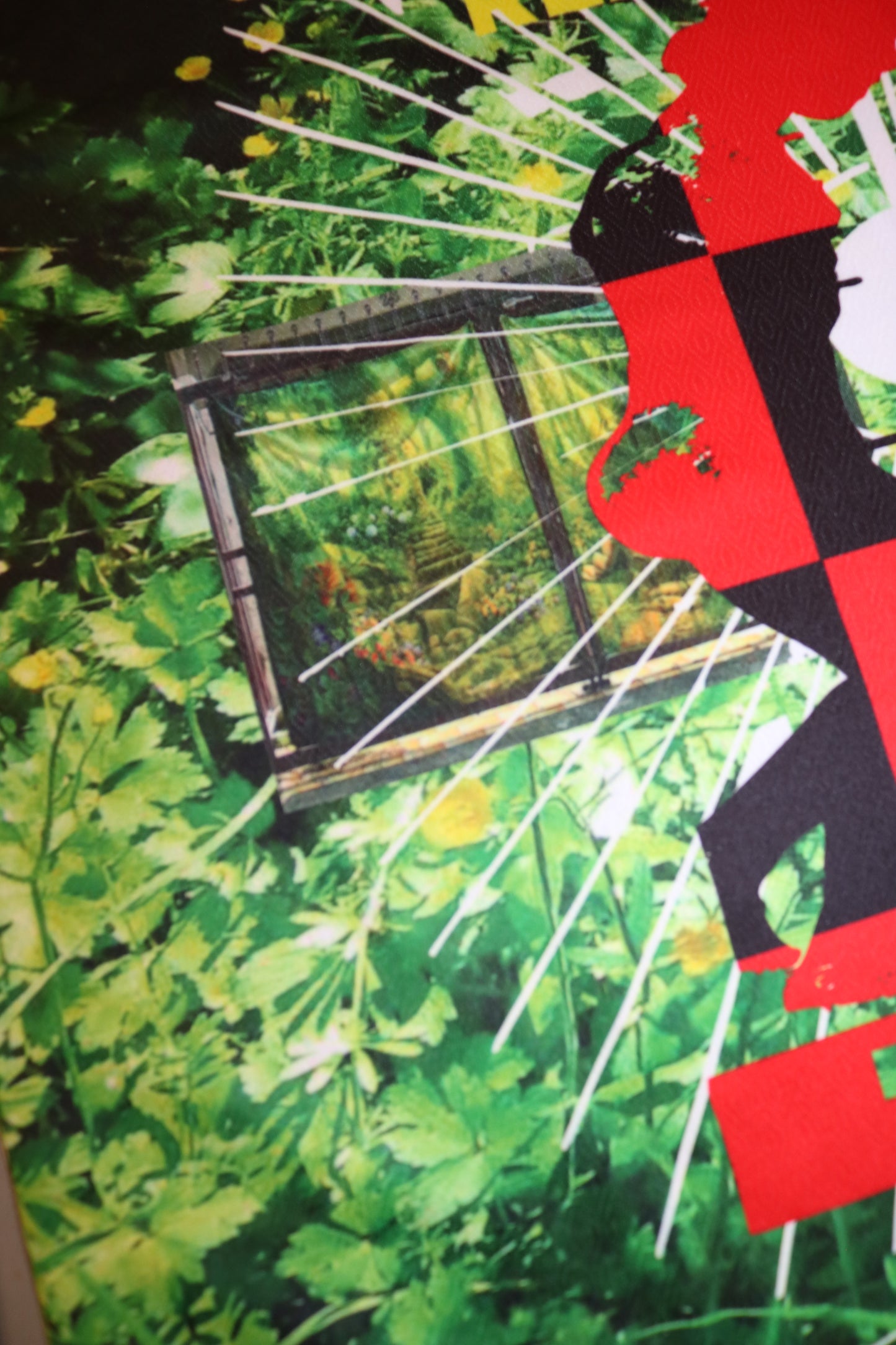 Xavier Flower AOP JERSEY